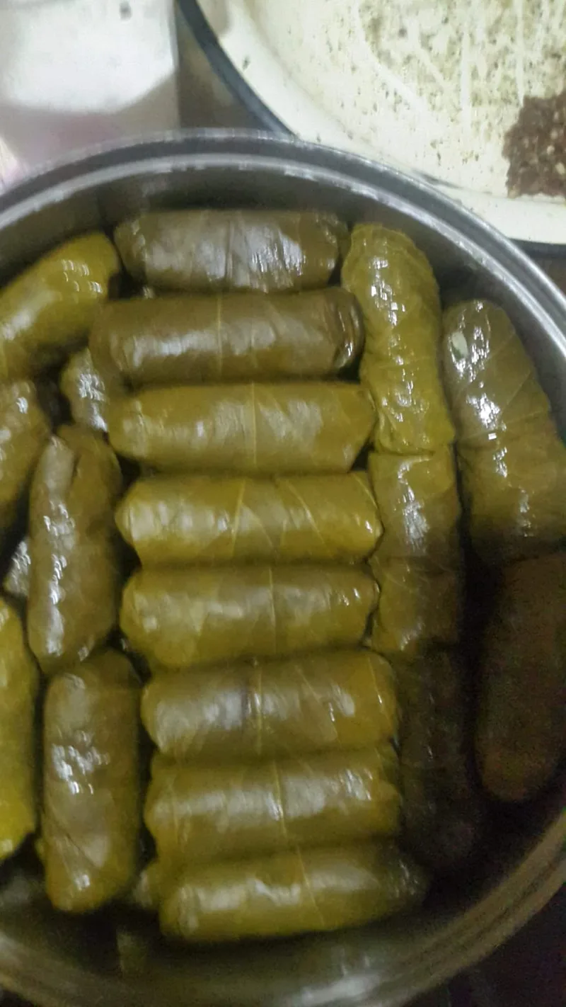 ტოლმა ვაზის ფოთოლში